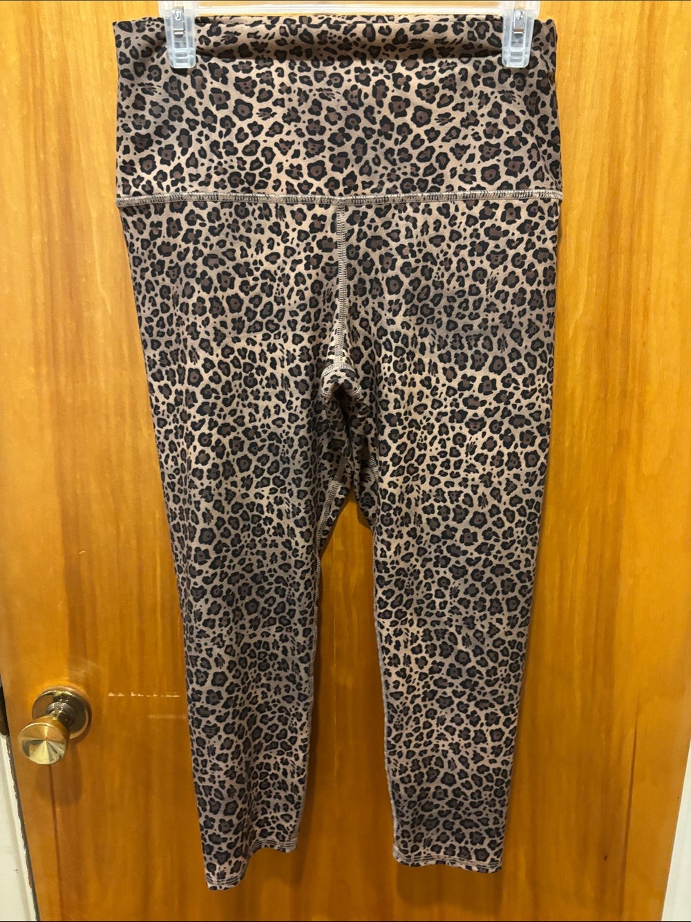 Evolution and Creation Leopard-Print Leggings in Brown and Black